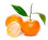 მანდარინი (mandarini)