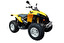 ride a quad bike po angielsku