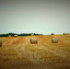 straw po angielsku
