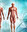 Anatomia