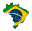 Бразилия бразилец бразильянка бразильцы