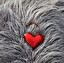 fur lined po angielsku