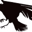 the crow po angielsku