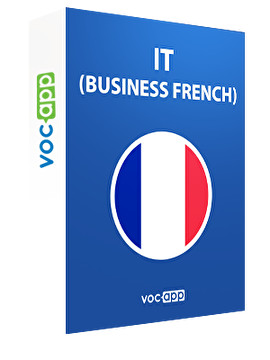 IT (Business French)
