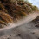 landscape features