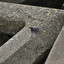 kamień węgielny, основа, главная составл po rosyjsku