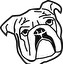 buldog po angielsku