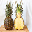 ananas po angielsku