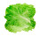salată verde