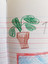 plant po angielsku