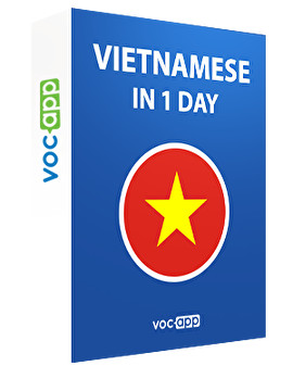 Vietnamese in 1 day