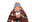 COLLOQUIALES