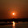 The state in time of COVID-19_basic vocabulary_PK