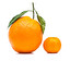 pomarańcza po angielsku