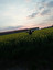 tożsamość po angielsku