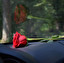 windshield po angielsku