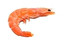 prawn po angielsku