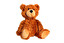 teddy bear po angielsku