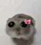 give po angielsku