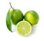 lime po angielsku