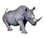 rhino po angielsku