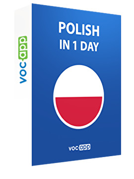 Polish in 1 day