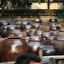 pottering around. pottery po angielsku
