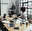 business partner b2+ (units 1&2)