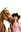 behavioural problem of horses - agression