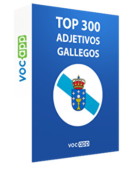 Top 300 adjetivos gallegos