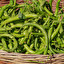 broad beans po angielsku