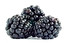 blackberry po angielsku