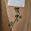 jasnota purpurowa (lamium purpureum) po polsku