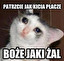 ironia po polsku