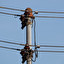elektryka po niemiecku