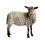 l&#039;agneau